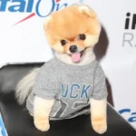 JiffPom