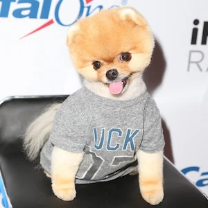 JiffPom